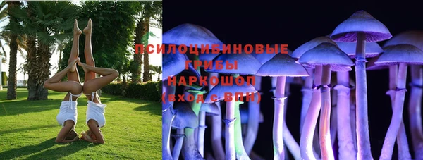 спиды Алзамай