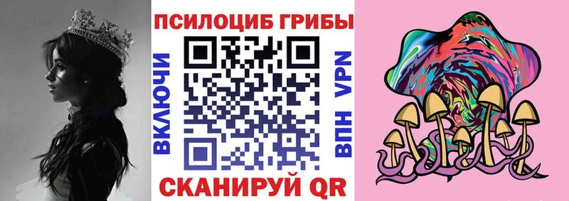 Псилоцибиновые грибы Psilocybe  MEGA ссылка  Черноголовка  сколько стоит 